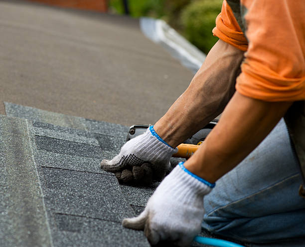 Best Shingle Roofing Installation  in Wendover, UT